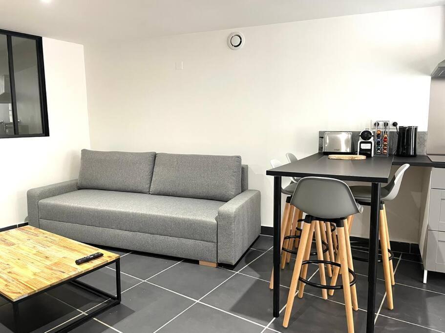 Grand T2 Rue Simeon Gouet Lejlighed Vienne  Eksteriør billede
